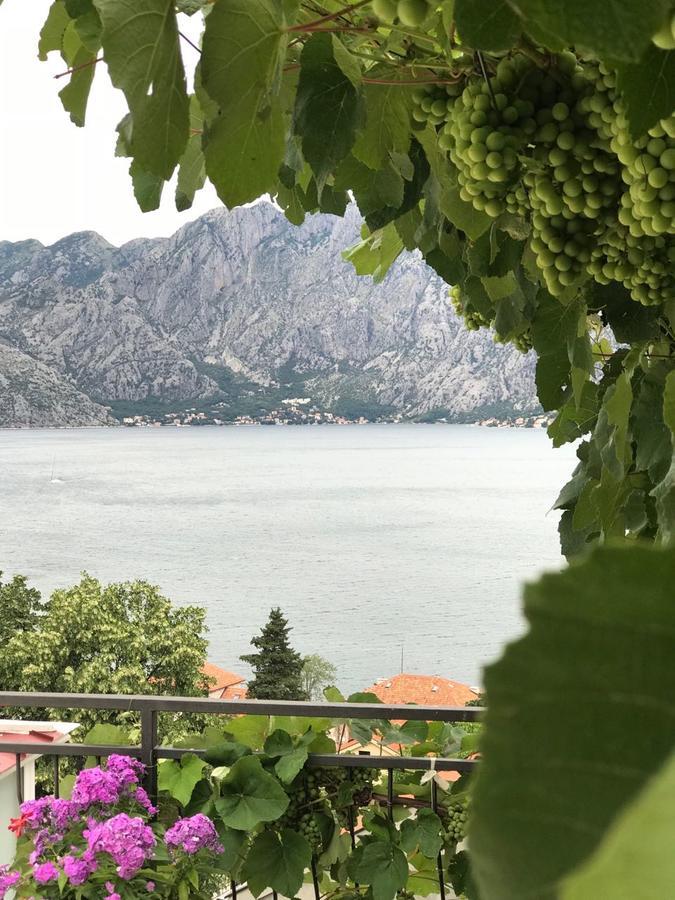 Vasko & Jana Kotor Exterior foto
